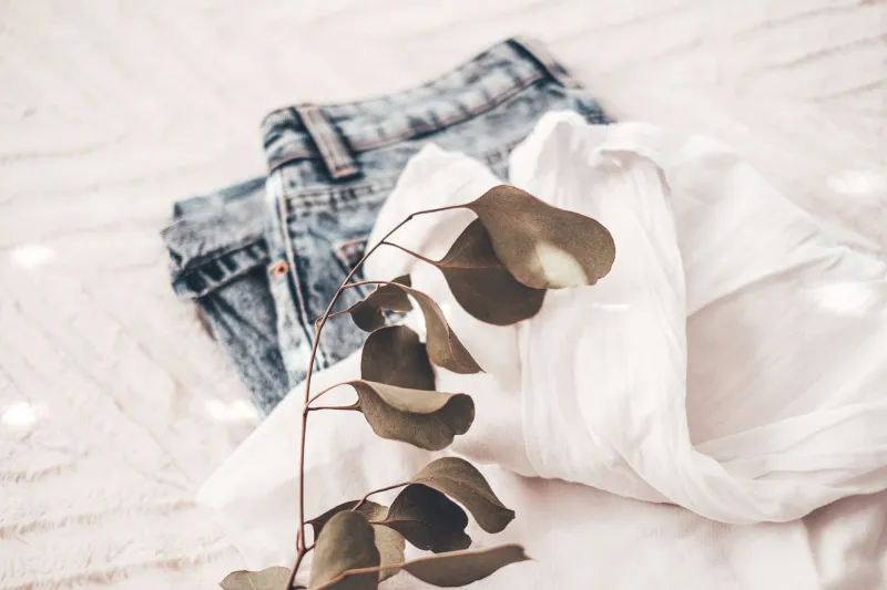 The Style Audit: A Designer's Method for Assessing and Refining Your Personal Aesthetic